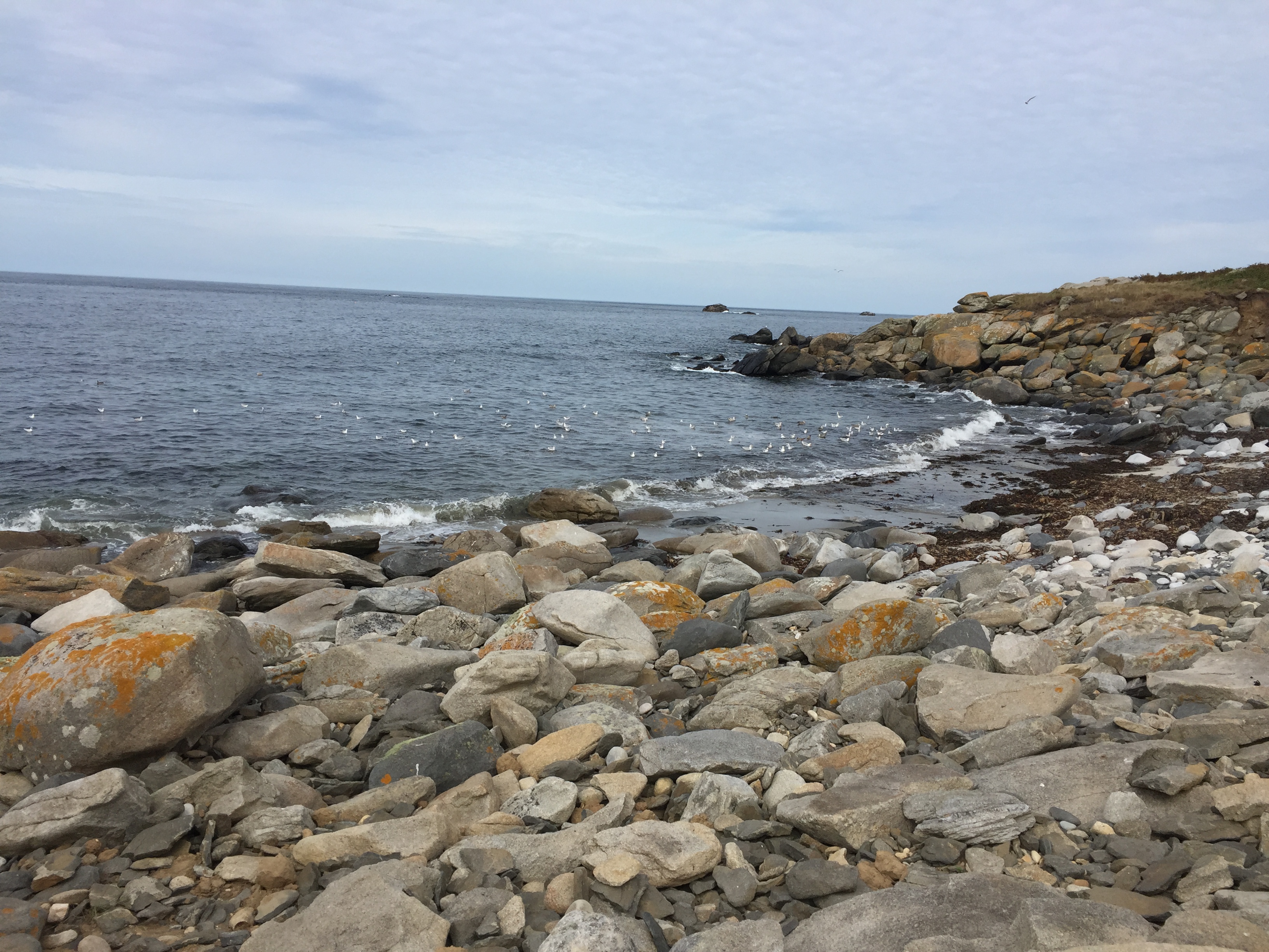 plage
