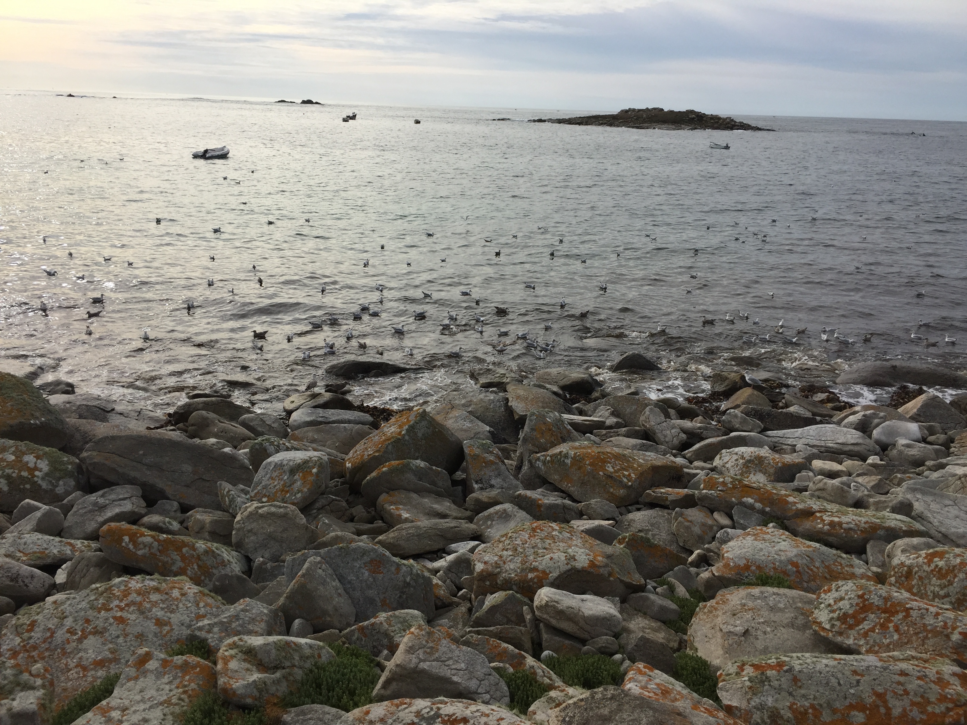 plage2