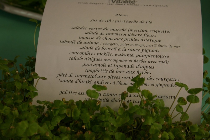 atelierbclement2010-4