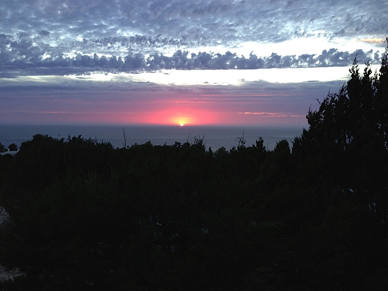 ibiza6