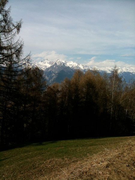 loupchalet1