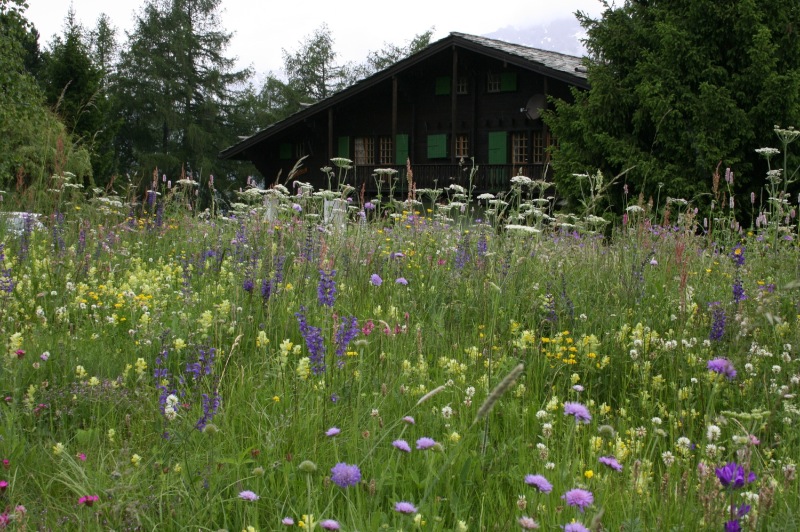 loupchalet11