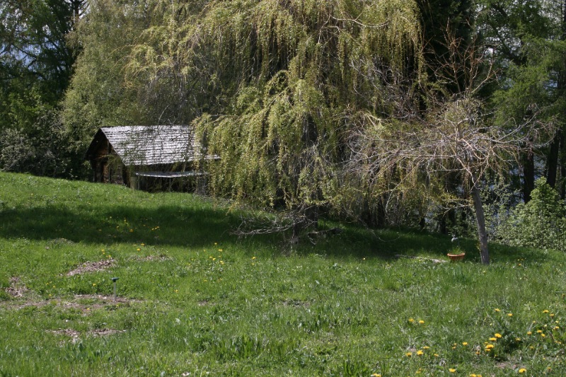 loupchalet6