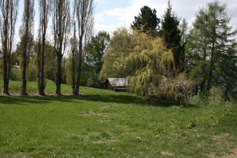 loupchalet7