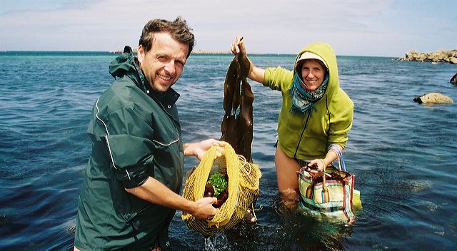 kombu dulse