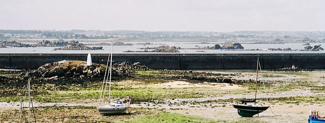 maree basse