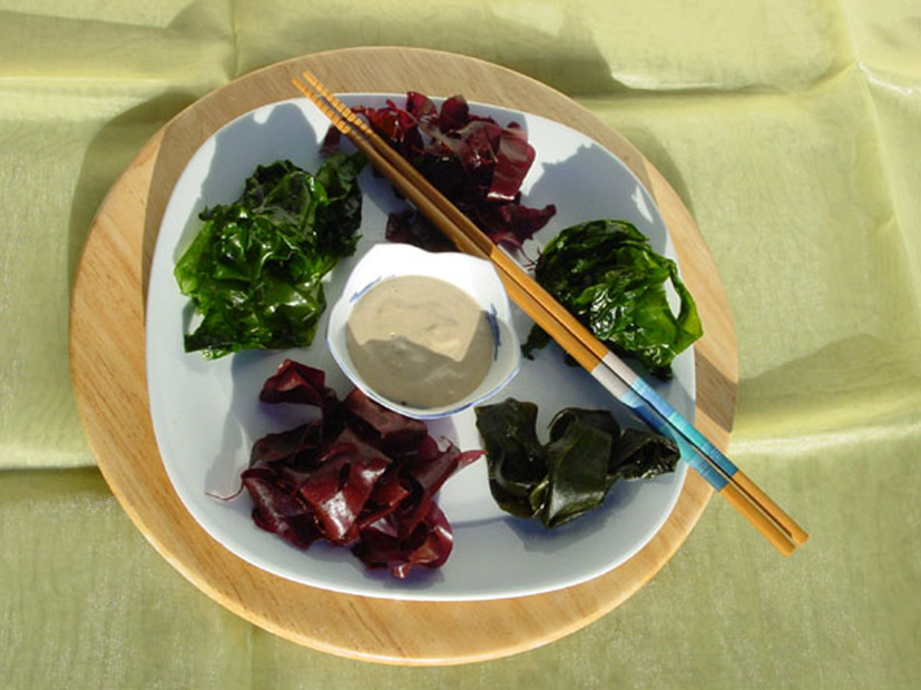 ALGSalad copie