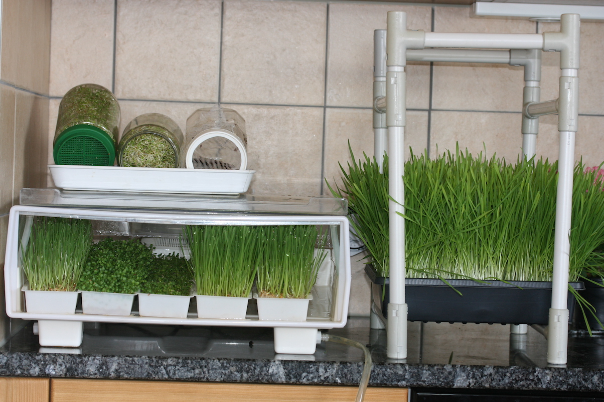 easygreen copie