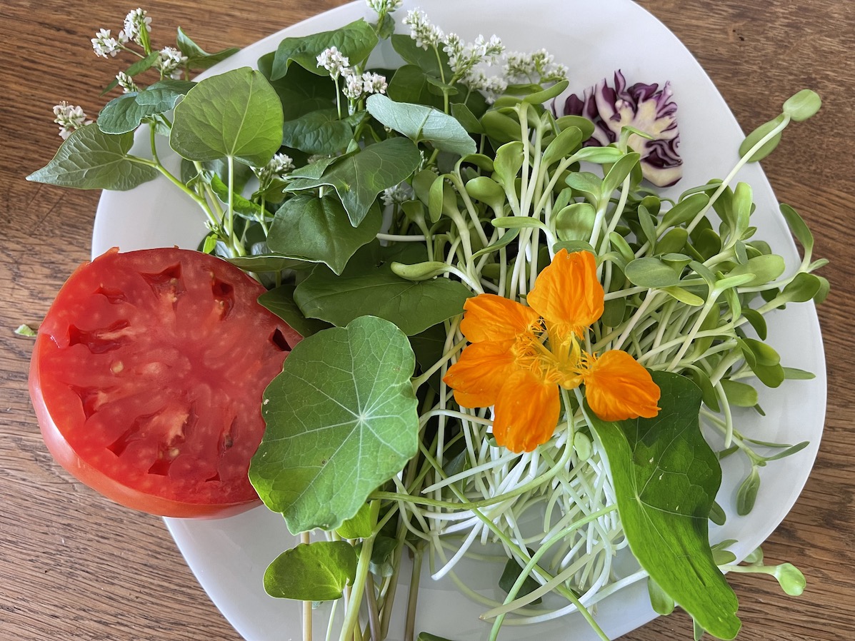 salade copie