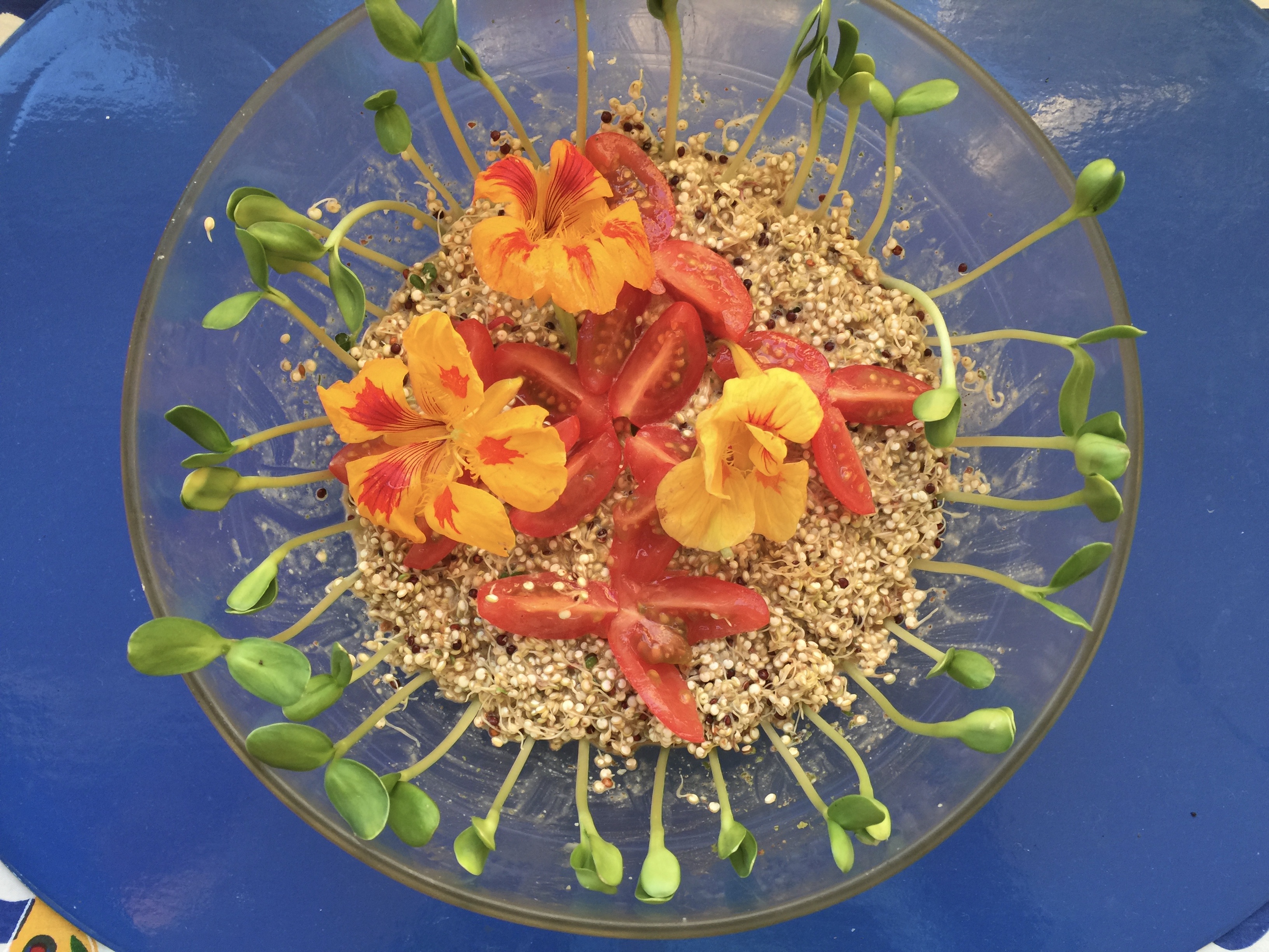 quinoa-capucine