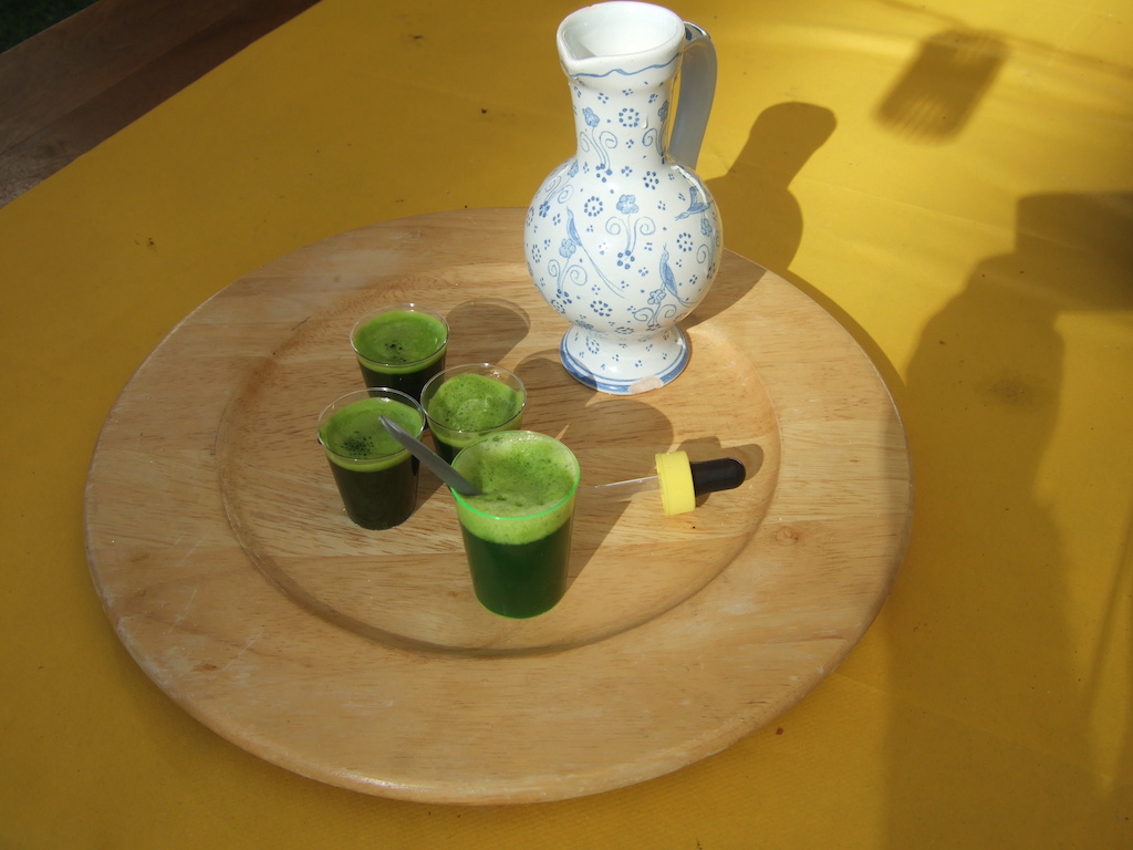 jusherbe-carafe