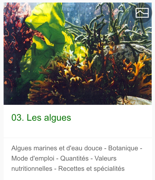 Ecolegrid3